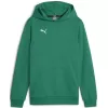 Dětská mikina PUMA TEAMGOAL CASUALS HOODY JR 658619_05 SPORT GREEN/PUMA WHITE