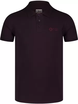Pánské triko s límečkem NORDBLANC ETERNITY NBSMT8166 HNĚDÁ