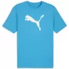 Pánský dres PUMA TEAMRISE LOGO JERSEY COTTON 658705_02 SPEED BLUE/PUMA WHITE