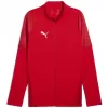 Pánská bunda PUMA TEAMCUP TRAINING JACKET 659165_01 PUMA RED/PUMA SILVER