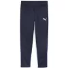 Pánské kalhoty PUMA TEAMGOAL TRAINING PANT 658639_06 PUMA NAVY/WHITE/PERSIAN BLUE