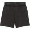Dámské kraťasy PUMA ESS ELEVATED WASH HIGH-WAIST SHORTS 5" TR 68810501 PUMA BLACK