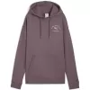 Dámská mikina PUMA CLASS RELAXED HOODIE 68813288 RAISIN