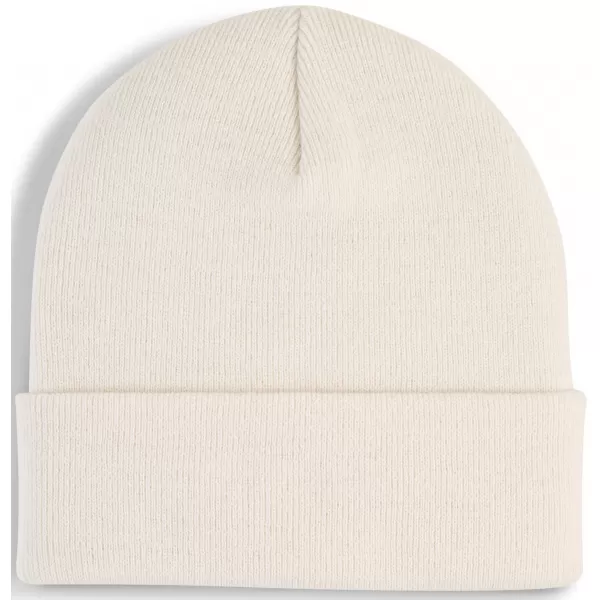  Čepice PUMA METAL PUMA CAT HIGH CROWN BEANIE 02640404 ALPINE SNOW 