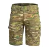 Kraťasy PENTAGON LYCOS SHORT PANTS K05059 GRASSMAN