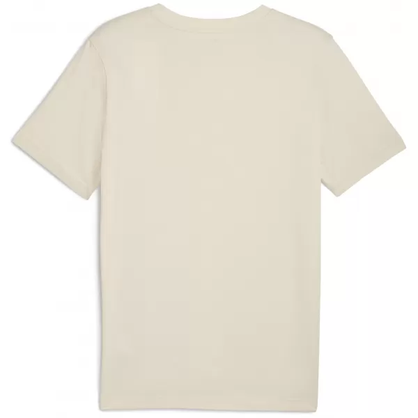  Pánské triko PUMA GRAPHIC VARSITY TEE 68803587 ALPINE SNOW 