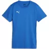 Dámský dres PUMA TEAMGOAL JERSEY WMN 65863802 E.BLUE LEMONADE/PUMA WHITE