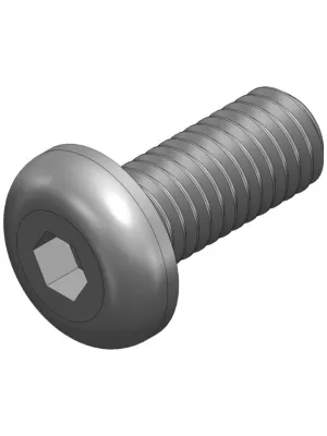 S_1189 - Screw_ISO 7380_M5x12 black BLACK