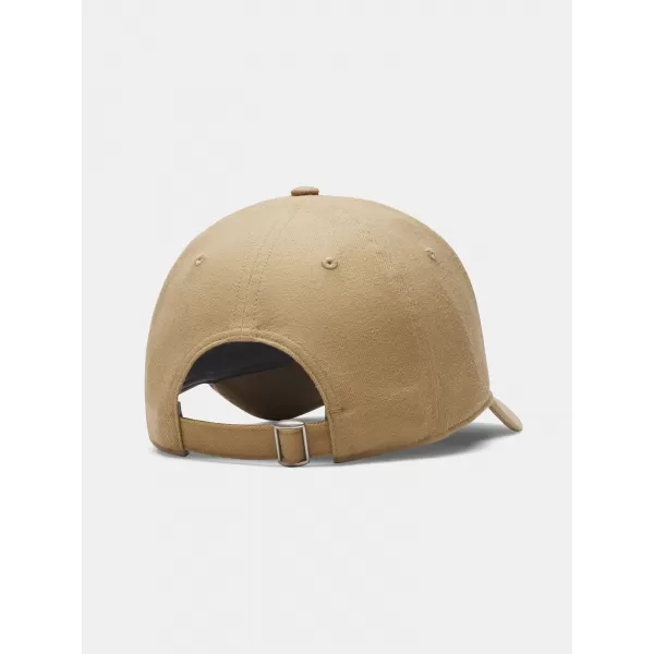  Pánská kšiltovka UNDER ARMOUR M BLITZING LOW BRUSHED ADJ 6007147-263 HNĚDÁ 