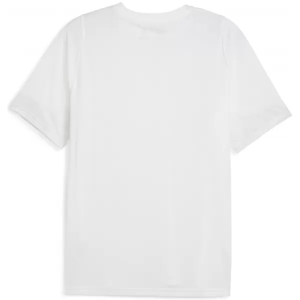  Pánský dres PUMA TEAMCUP TRAINING JERSEY 659167_04 PUMA WHITE/PUMA SILVER 