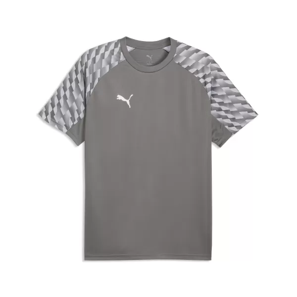  Pánské triko PUMA TEAMLIGA26 JERSEY 659721_13 FLAT MEDIUM GRAY/PUMA WHITE 