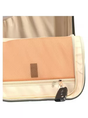 Batoh CABINZERO Classic Plus 42L GREY MOOR