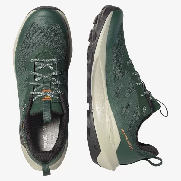  Pánské boty SALOMON ELIXIR ACTIV GTX L49229800 SCARAB/GREEN GABLES/CHILI 