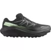 Pánské boty SALOMON ULTRA FLOW 2 GTX L47981400 BLACK/BLACK/PATINA GREEN
