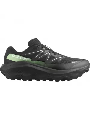 Pánské boty SALOMON ULTRA FLOW 2 GTX L47981400 BLACK/BLACK/PATINA GREEN