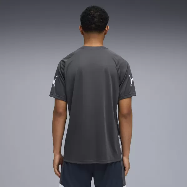  Pánské funkční triko PUMA INDIVIDUALLIGA GRAPH JERSEY 660578_02 MINERAL COBALT/VAPOR GRAY 