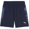 Pánské kraťasy PUMA TEAMCUP TRAINING SHORTS 659171-06 PUMA NAVY/PUMA SILVER