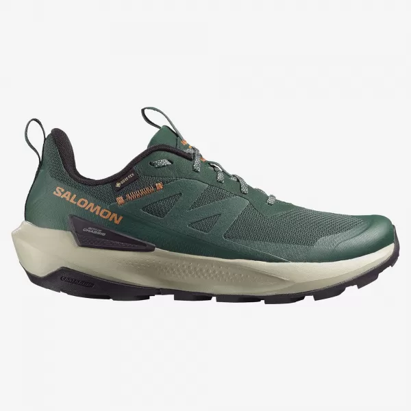 Pánské boty SALOMON ELIXIR ACTIV GTX L49229800 SCARAB/GREEN GABLES/CHILI 