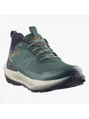Pánské boty SALOMON ELIXIR ACTIV GTX L49229800 SCARAB/GREEN GABLES/CHILI