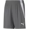 Dětské kraťasy PUMA TEAMLIGA SHORTS JR 704931-13 SMOKED PEARL/PUMA WHITE