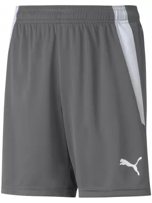 Dětské kraťasy PUMA TEAMLIGA SHORTS JR 704931-13 SMOKED PEARL/PUMA WHITE