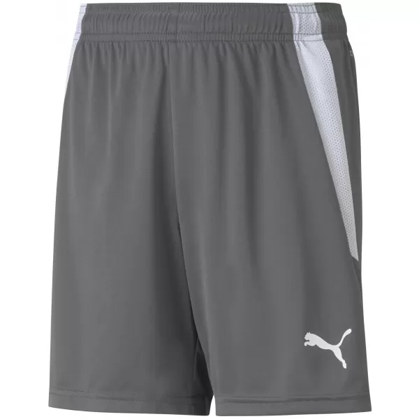  Dětské kraťasy PUMA TEAMLIGA SHORTS JR 704931-13 SMOKED PEARL/PUMA WHITE 
