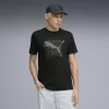 Pánské triko PUMA GRAPHIC TEE 691775_01 PUMA BLACK