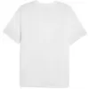 Pánské funkční triko PUMA TEAMCUP TRAINING JERSEY 659167-04 PUMA WHITE/PUMA SILVER