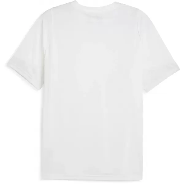  Pánské funkční triko PUMA TEAMCUP TRAINING JERSEY 659167-04 PUMA WHITE/PUMA SILVER 