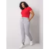Dámské tepláky BASIC FEEL GOOD RV-DR-6301.88 GRAY