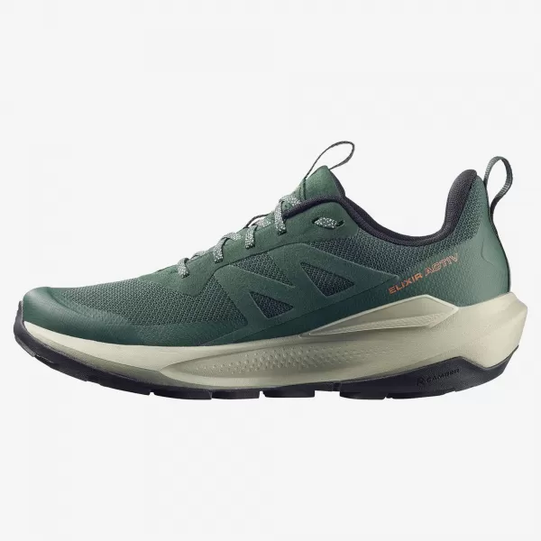  Pánské boty SALOMON ELIXIR ACTIV GTX L49229800 SCARAB/GREEN GABLES/CHILI 