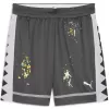 Pánské kraťasy PUMA PITP ALL JAWS 6.5" SHORT 632918-01 DUSKY GRAY
