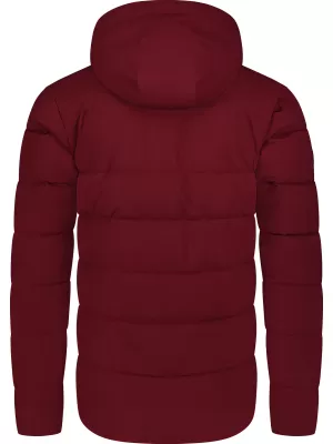 Pánská zimní bunda NORDBLANC BRAMBLE NBWJM8258 VÍNOVÁ