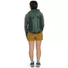 Turistický batoh OSPREY HIKELITE LT 30 TUNDRA GREEN