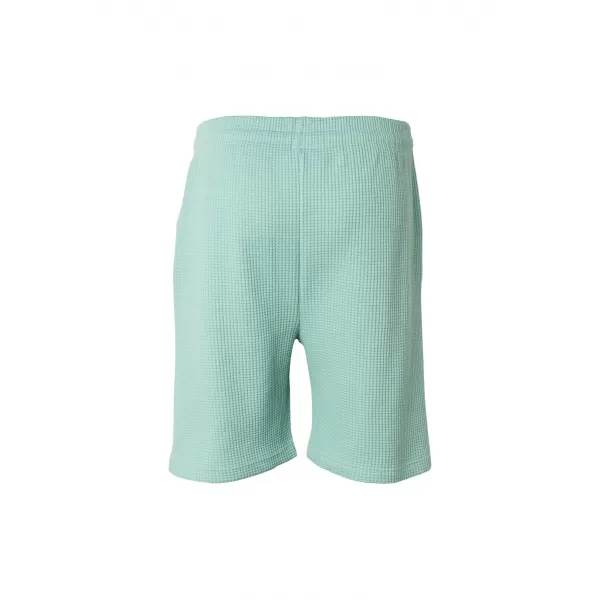  Pánské kraťasy URBAN CLASSICS TB8206 FROST MINT 