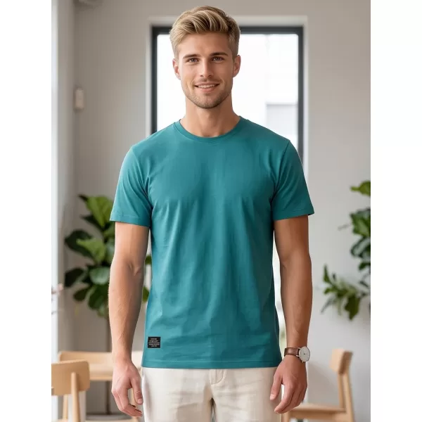  Pánské triko ALTISPORT NP/ALMST20001 TEAL 