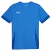 Pánský dres PUMA TEAMGOAL MATCHDAY JERSEY 705747-02 E.BLU.LEMON/WHITE/TEAM ROYAL