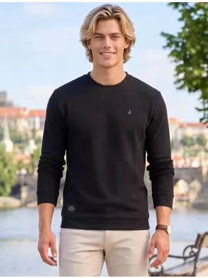 Pánská mikina ALTISPORT ICES ČERNÁ