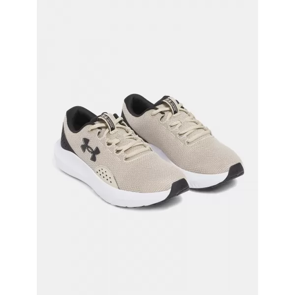  Pánské boty UNDER ARMOUR CHARGED SURGE 4 3027000-289 HNĚDÁ 