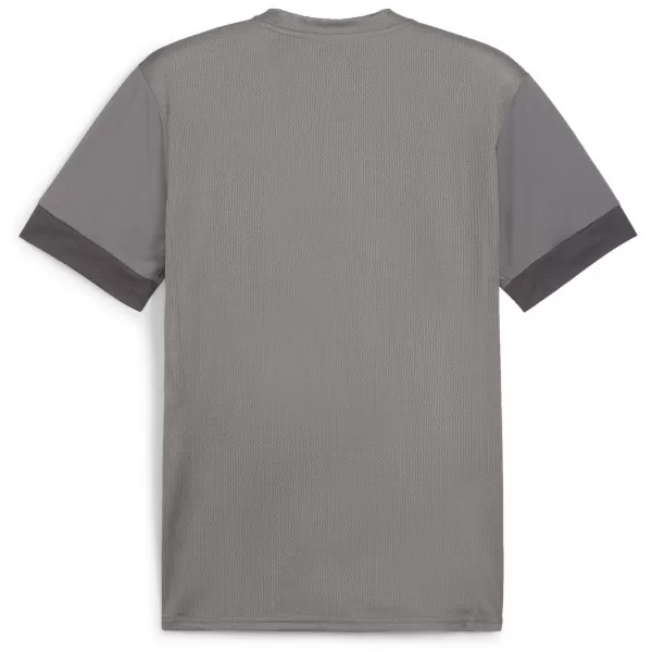  Pánský dres PUMA TEAMGOAL MATCHDAY JERSEY 705747-13 CAST IRON/WHITE/SHADOW GRAY 