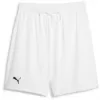 Pánské kraťasy PUMA HOOPS TEAM PRACTICE SHORT 676641-02 PUMA WHITE