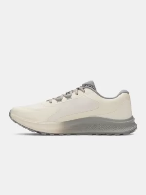 Pánské boty UNDER ARMOUR CHARGED BANDIT TR 3 3028371-289 HNĚDÁ