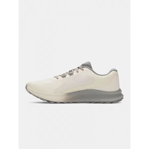  Pánské boty UNDER ARMOUR CHARGED BANDIT TR 3 3028371-289 HNĚDÁ 