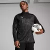 Pánské funkční triko PUMA TEAMCUP TRAINING 1/4 ZIP TOP 659164-03 PUMA BLACK/PUMA SILVER