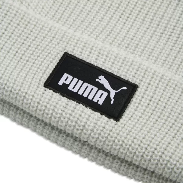  Čepice PUMA ESS HIGH CROWN BEANIE 02641008 CREME DE MINT 