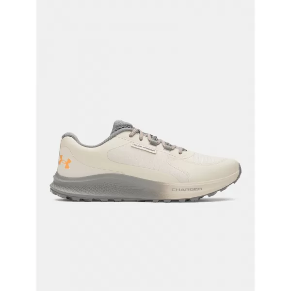  Pánské boty UNDER ARMOUR CHARGED BANDIT TR 3 3028371-289 HNĚDÁ 