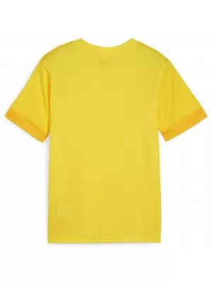 Dětský dres PUMA TEAMGOAL MATCHDAY JERSEY JR 705748-07 FASTER YELLOW/BLACK/YELLOW