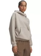 Dámská mikina UNDER ARMOUR ICON FLEECE HOODIE 6013544-204 HNĚDÁ