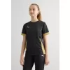 Dětské sportovní triko PUMA TEAMGOAL MATCHDAY JERSEY JR 70574828 PUMA BLACK/PUMA GOLD/MATTE GOLD