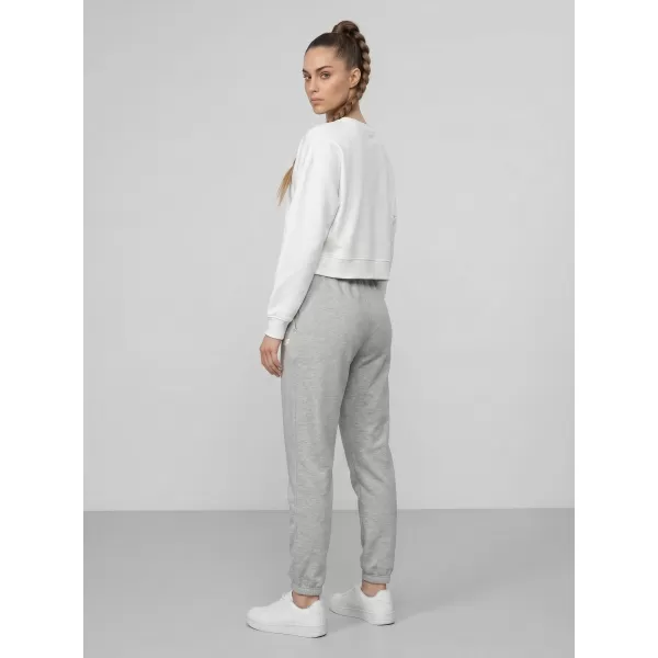  Dámské kalhoty 4F 4FWMM00TTROF1658 COLD LIGHT GREY MELANGE 
